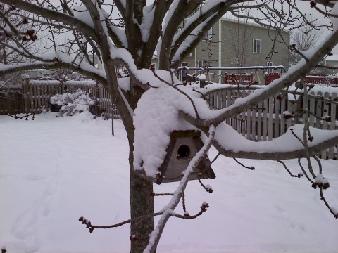 Birdhouse in my yard-we got a foot of snow this day.